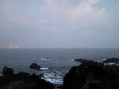 -涉地可支