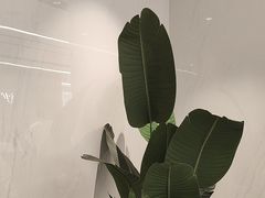 -深圳麦芽口腔医院(罗湖总院)