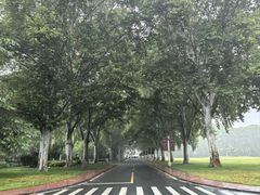 -河南省黄河迎宾馆