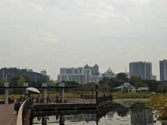-月湖风景区