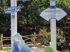 -广州白江湖森林公园