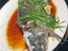 -顺峰顺水顺德菜(龙华店)