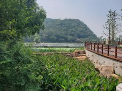 -采石矶景区