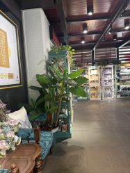 -保丽宝泰母婴护理院·月子中心·产康·中医(常州店)