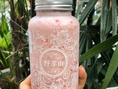 -野萃山·潮汕厚果汁(十亩地店)
