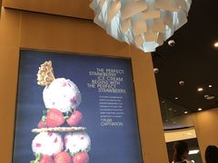 -哈根达斯(青岛海信店)