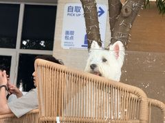 -湖滨客舍·湖北菜