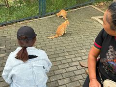 -大连森林动物园