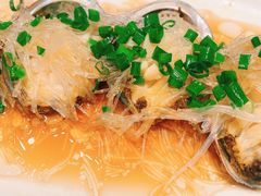 葱油小鲍鱼-高佳庄·舟山海鲜(海景旗舰店)