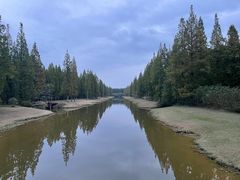 -黄海国家森林公园