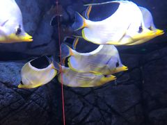 -成都浩海立方海洋公园