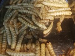 -昆虫窝子·特色云南菜(拓东路总店)