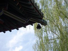-榆次老城