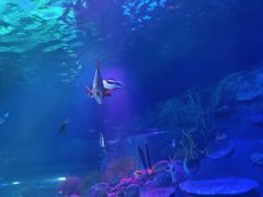 -沈阳海洋探索中心