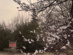 -南翠屏公园