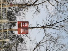 -灵顺寺