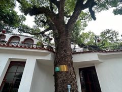 -澳门圣地牙哥古堡酒店