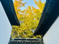 -西园戒幢律寺