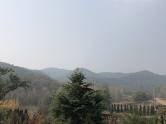 -棒棰岛宾馆景区