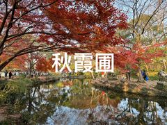 -秋霞圃