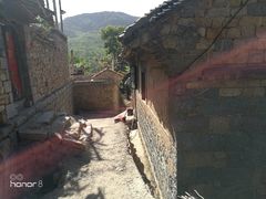 -龙口南山旅游景区