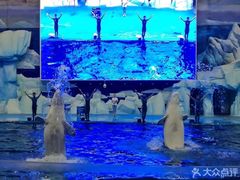 -福州罗源湾海洋世界旅游区