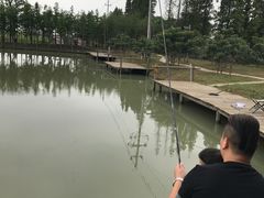 -乌村