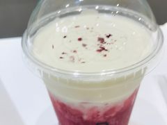 -飞行喵MR PILOT|猫舍·猫咖(静安大融城店)