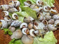 -驻海渔市(置信店)