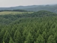 -塞罕坝国家级自然保护区