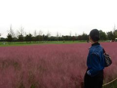 -汉长安城未央宫国家考古遗址公园