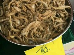 -八仔大富楼·河鲜(西江店)