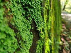 -水洞边·湖南农家土菜