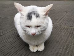 -成都杜甫草堂博物馆