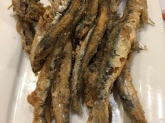 Tapas-Tapa Tapa