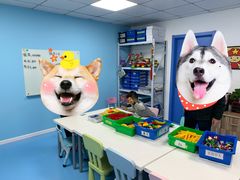 -韦哲乐高机器人·等级考试·少儿编程(羽山路校区)