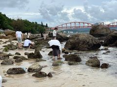 -玫瑰海岸文化旅游度假区