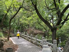 -灵岩山风景区