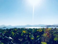 -湖畔居茶楼(湖滨店)