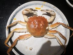 -黄记大闸蟹专卖店·活蟹·醉蟹