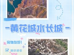 -沉浸北京·团建旅行·密室剧本杀·年会会议轰趴拓展
