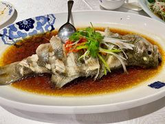 清蒸深海鲈鱼-便宜坊烤鸭店(甜水园店)