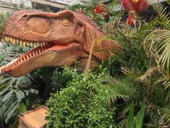 -沈阳植物园