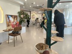 -共舞时光猫咖·狗咖(新街口店)