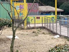 -无锡动物园·太湖欢乐园