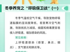-瑞派申生动物医院·24H夜诊·国际动物医疗中心·骨外科(吴中路店)