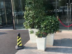 -天津水游城丽筠酒店