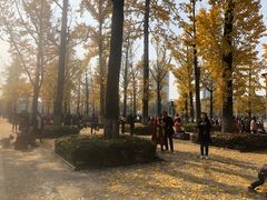 -百林公园-两江幸福广场