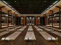 -金吉鸟健身游泳