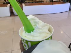 -Salud撒露欧洲冻酸奶(蓝色港湾店)